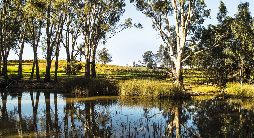 St Leonards | Halliday Wine Companion